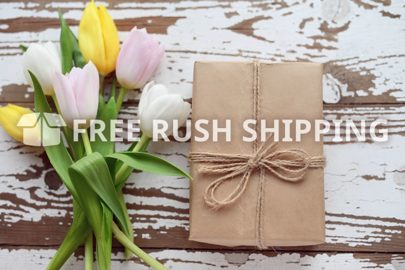 Picture for category FREE Rush Shipping
